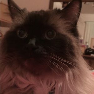 Meet your Posher, Mary ellen